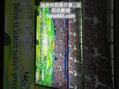 科爾維爾質,判決,麥克托米奈,万博足球,足球赛事数据,足球比赛资讯,足球赛事信息,足球赛事平台